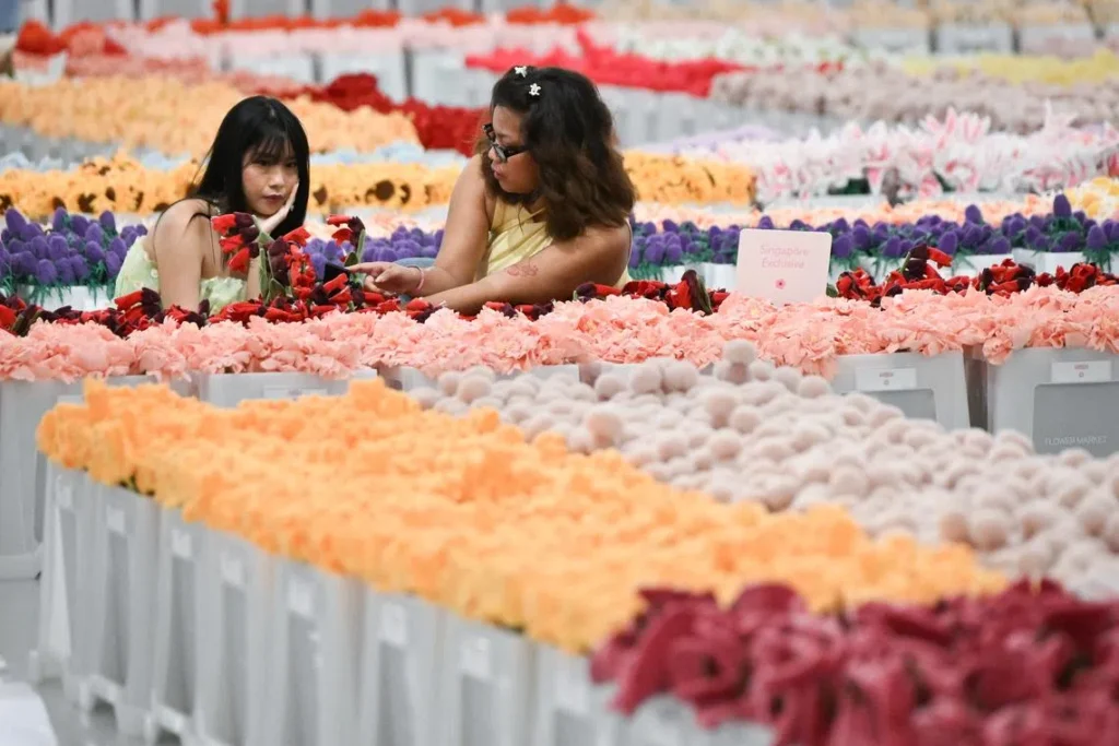 Cj Henry Flower Market Frenzy at IMBA Singapore